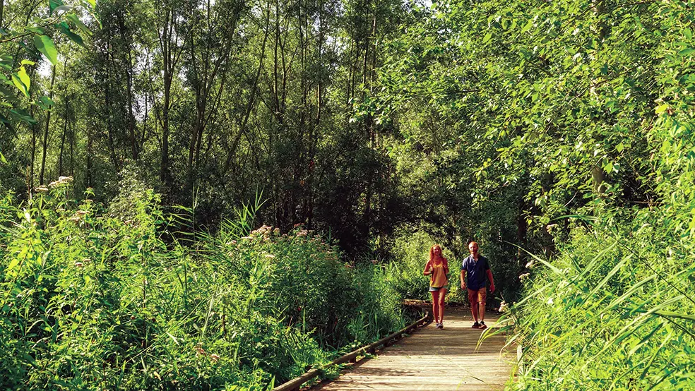 Les Ballastières Randonnée 2019 AIRE-SUR-LA-LYS