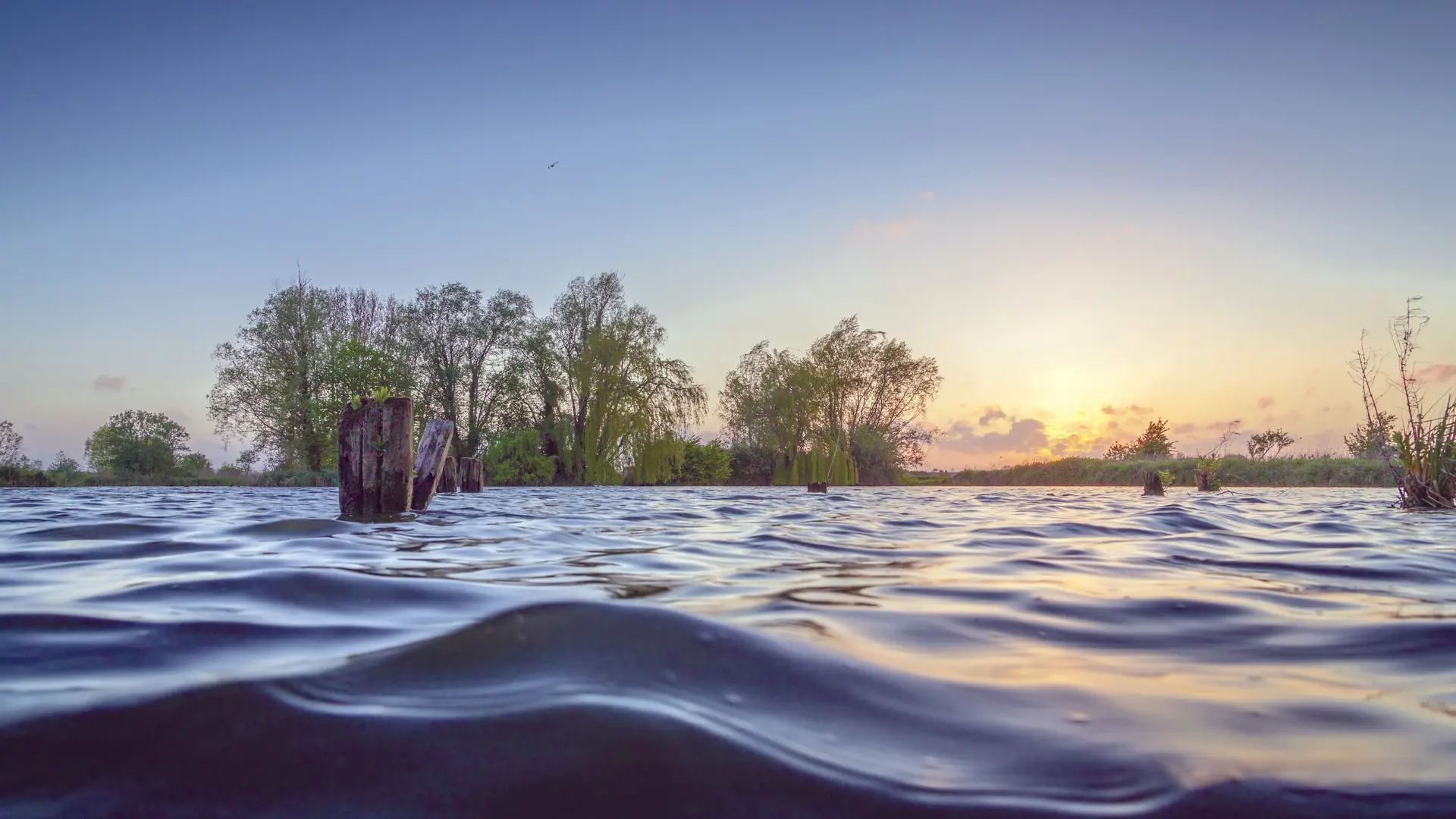 RNN Romelaëre ©eden62 (9)