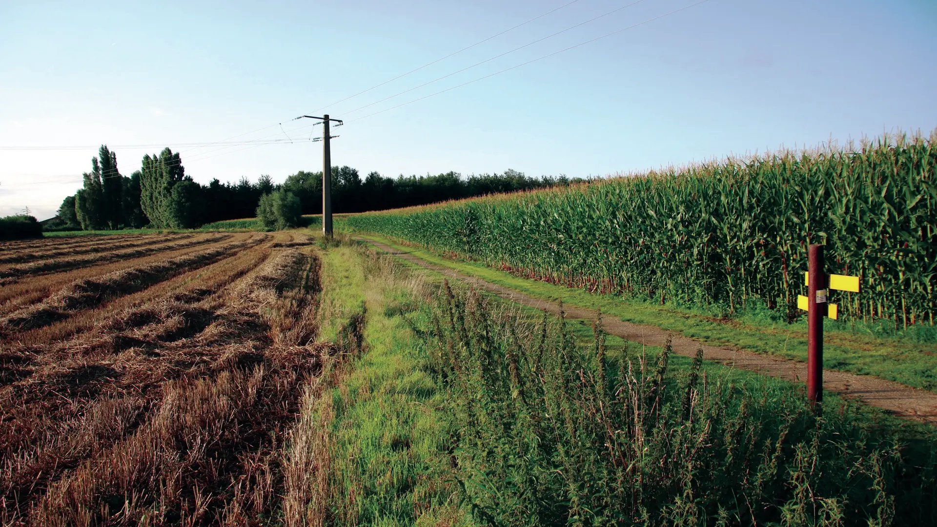 Randonnée Les Héringaux 2021 ROQUETOIRE © Pays ch'ti Pays d'ici (7)