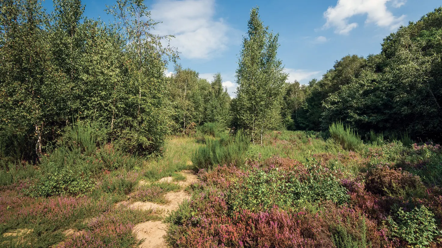 Réserve Plateau des Landes 2020 BLENDECQUES © EDEN 62 (2)