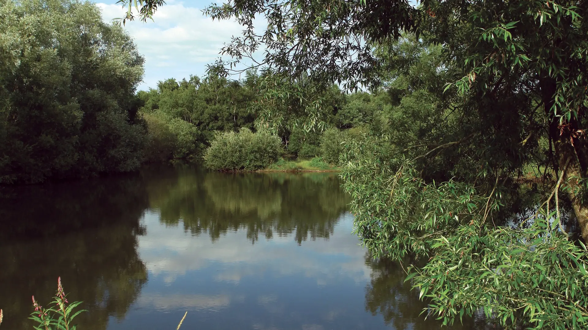 Réserve du Plateau des Landes 2010 BLENDECQUES © F.Quivrin Comimatex - Tourisme en Pays de Saint-Omer (5)