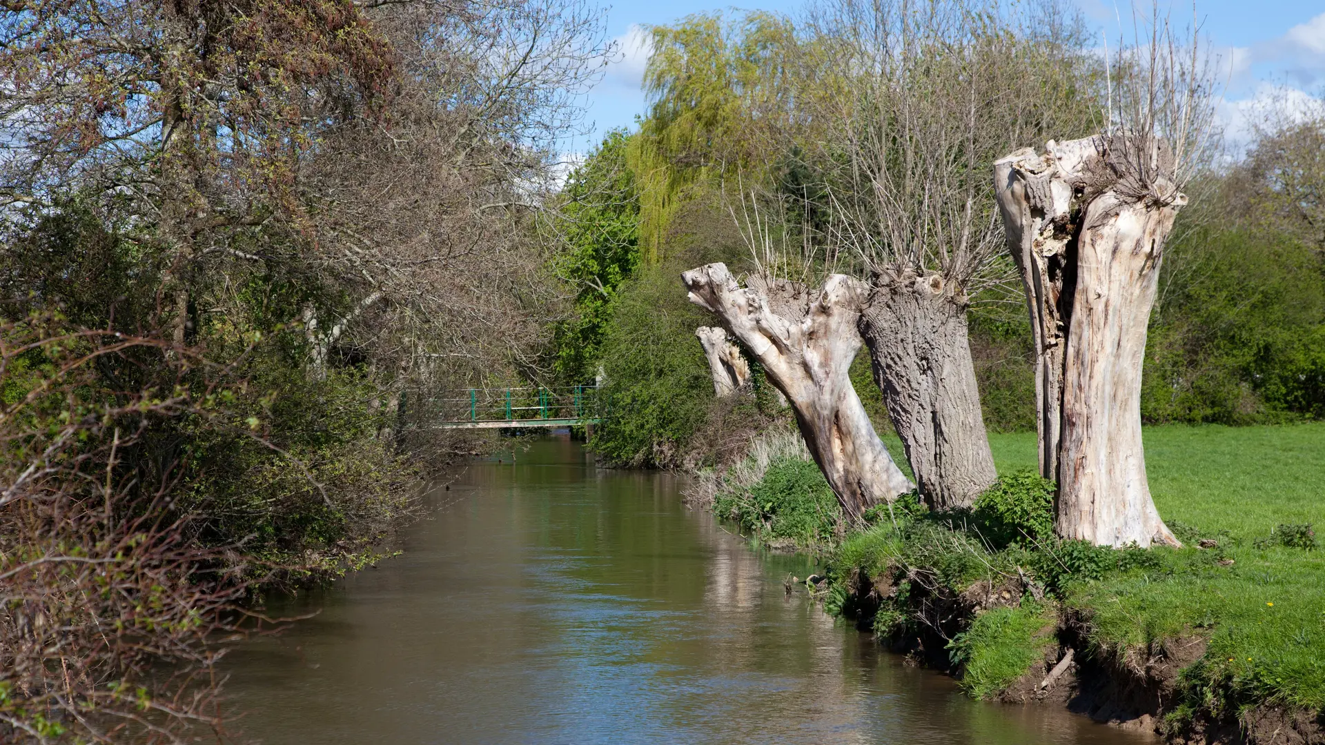 Rivière TOURNEHEM-SUR-LA-HEM © OTAVH (1)