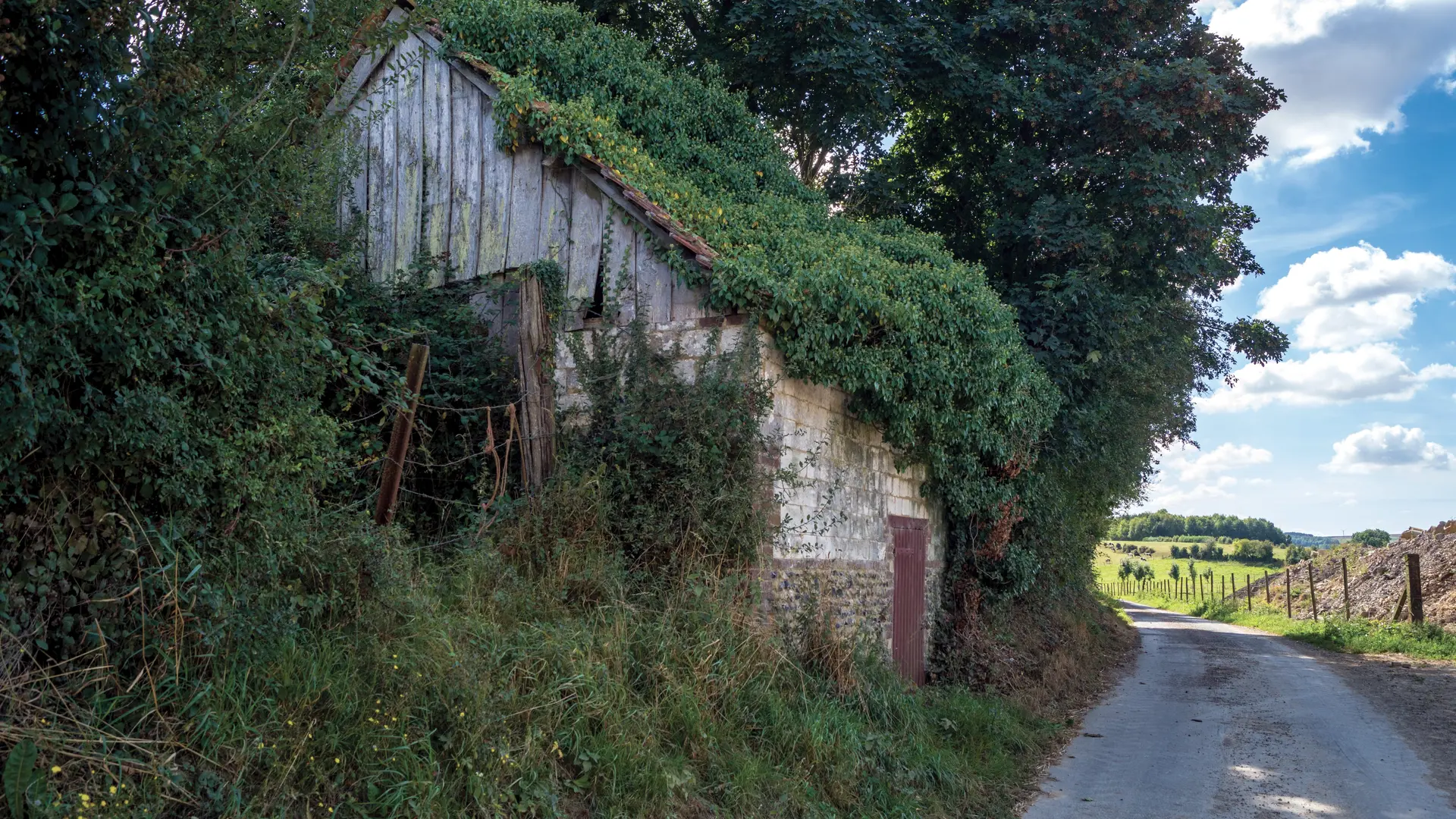 Sentier Les Bonniarts Le Chaufour DELETTES © P.Hudelle, Balades en audomarois (5)