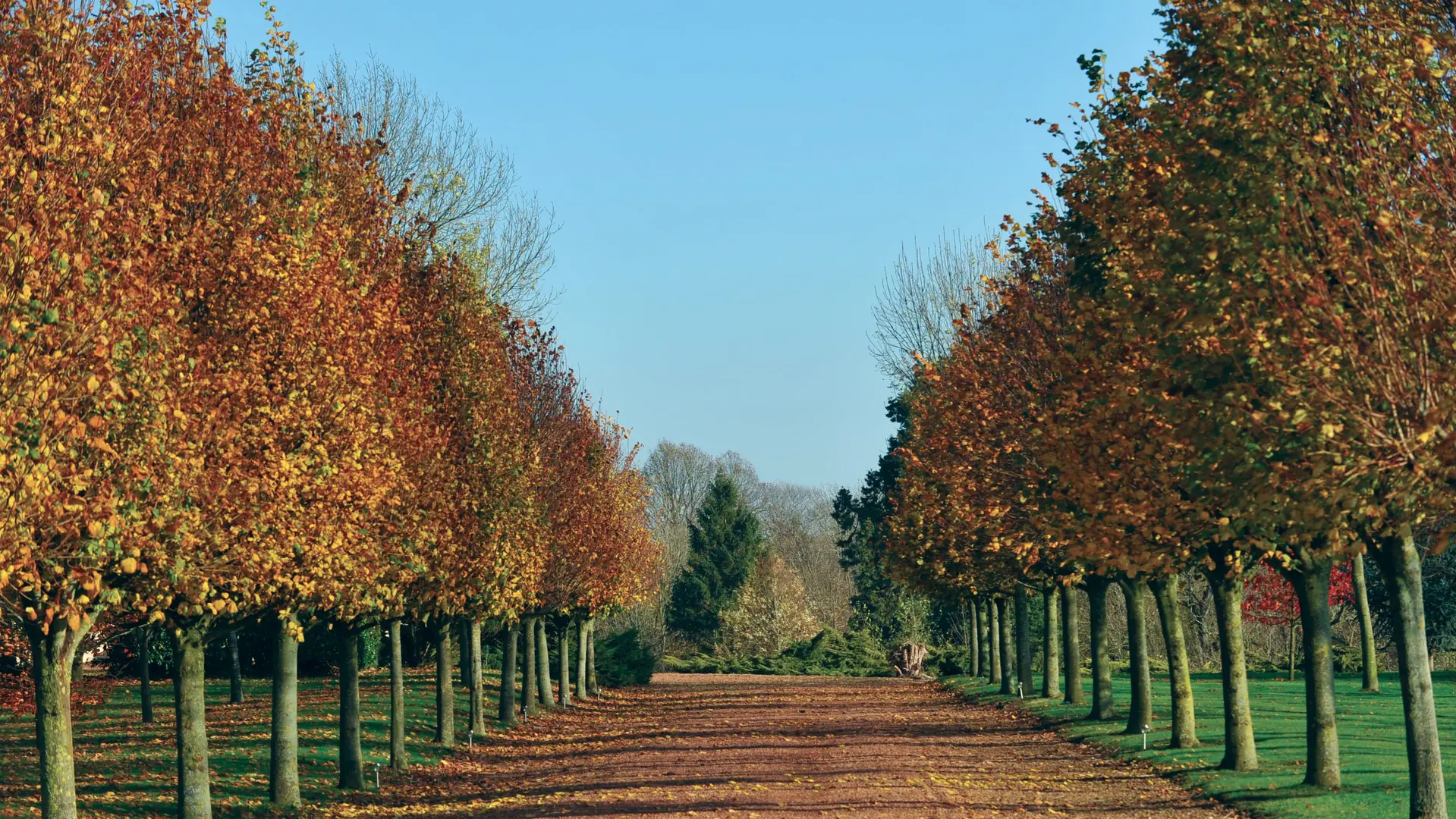 Upon d'Aval 2009 DELETTES © Photo Carl - Tourisme en Pays de Saint-Omer