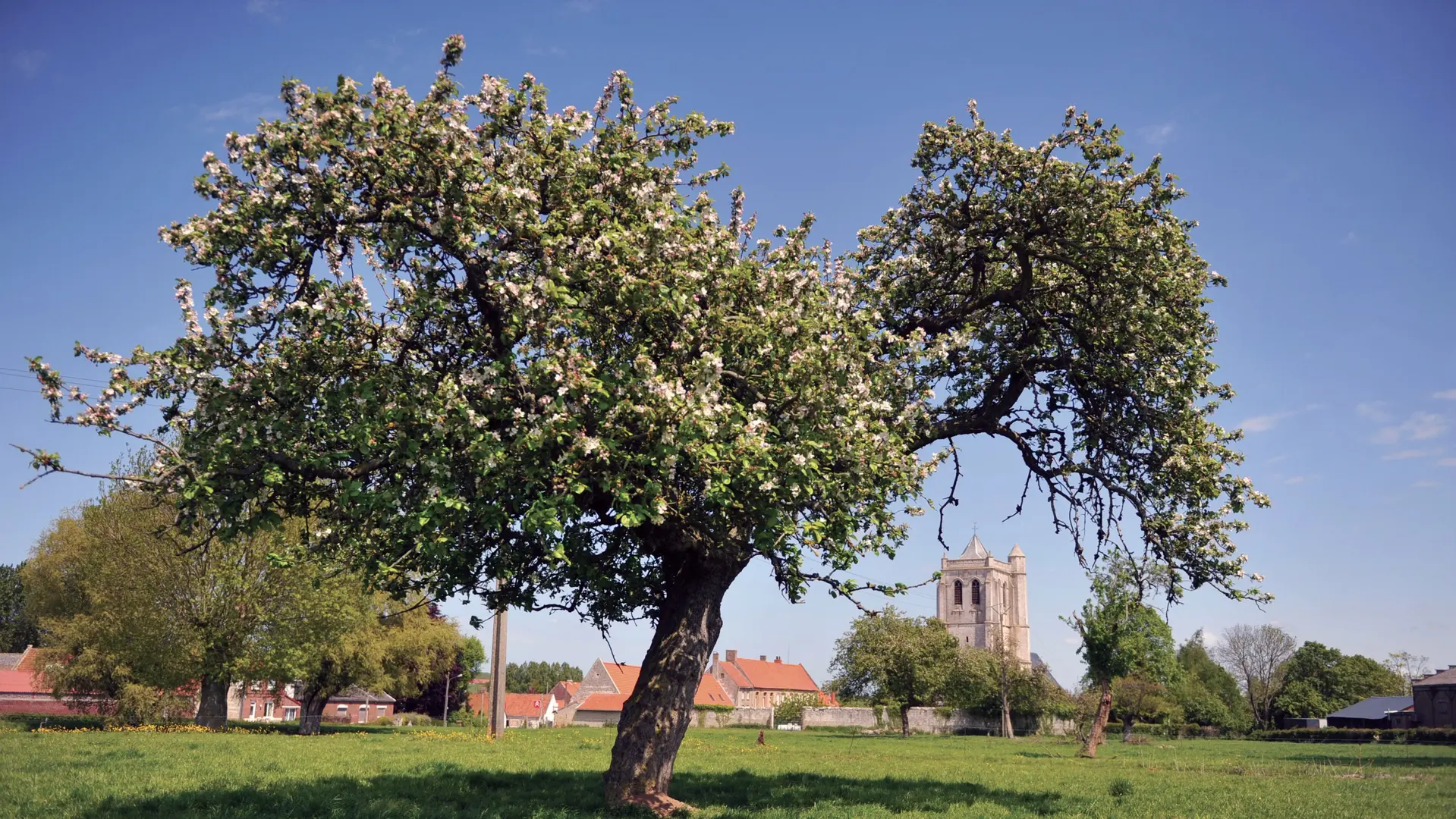 Vue village 2010 EPERLECQUES