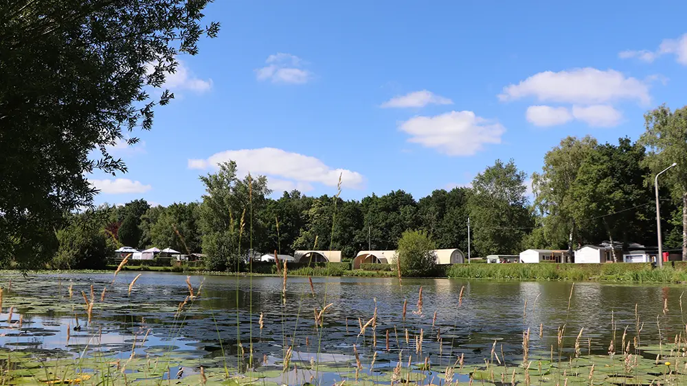 camping-avec-etang