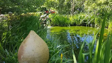 jardins-lahaiedesdames_mametz (1)