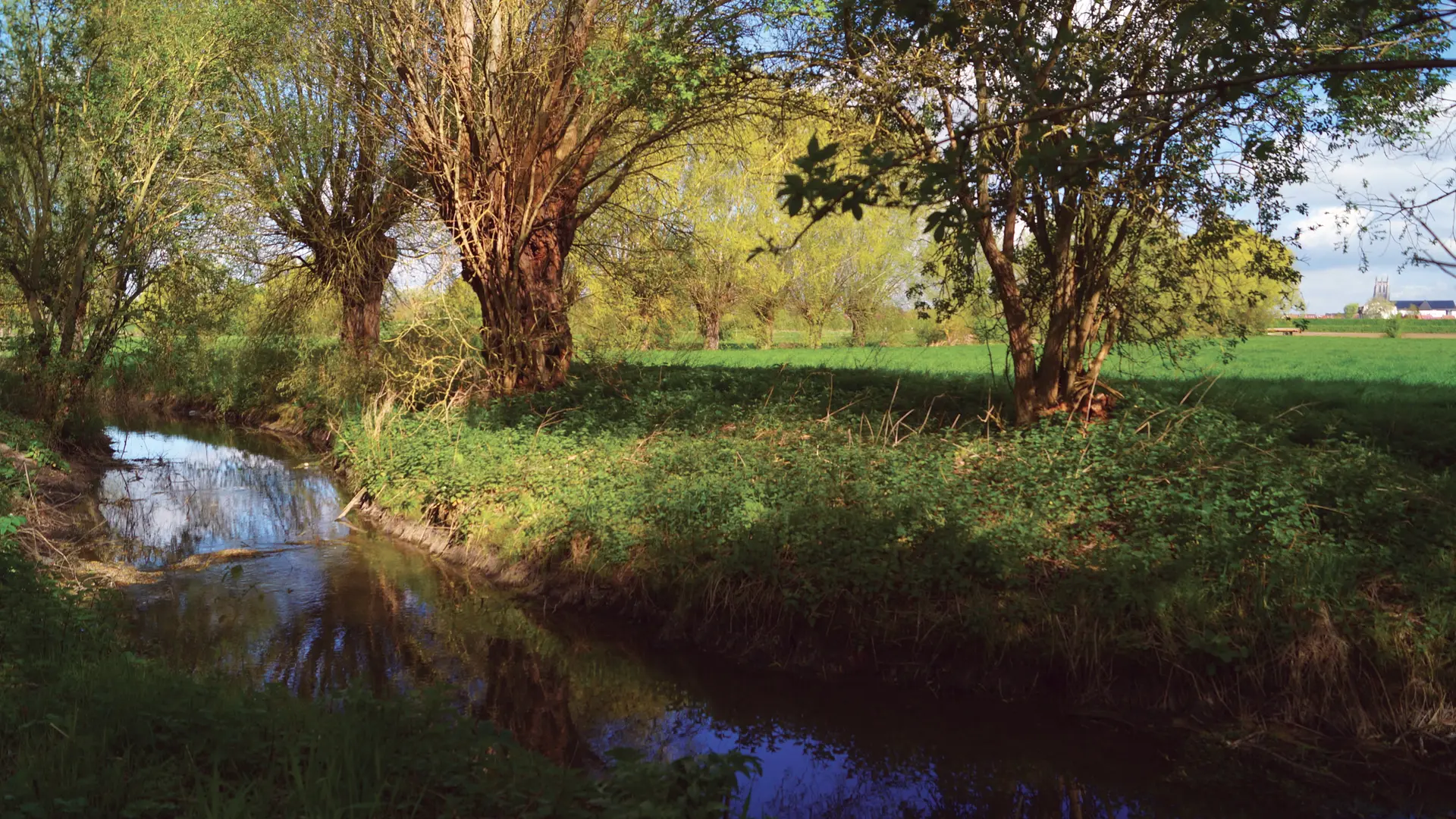 Chico Mendes 2018 AIRE-SUR-LA-LYS © Tourisme en Pays de Saint-Omer