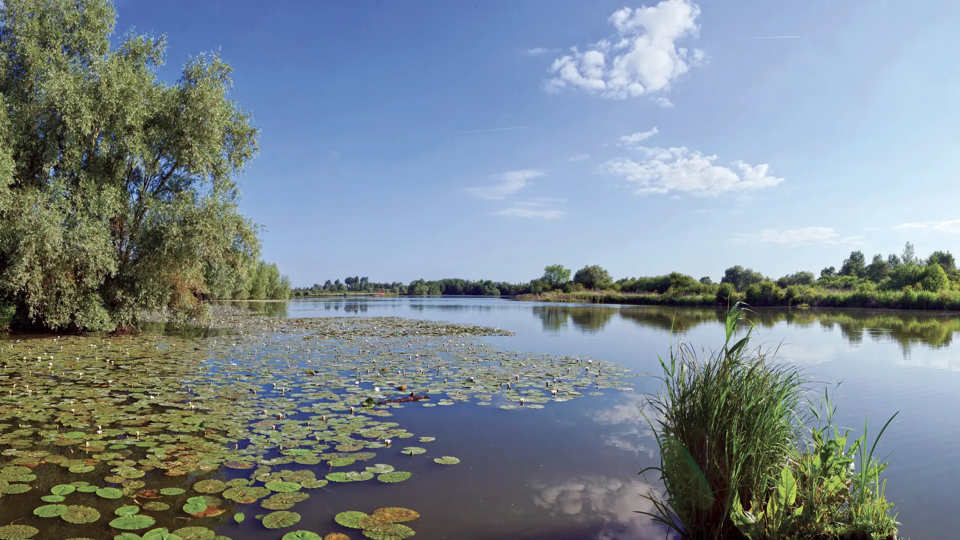 réserve_des_étangs_du_romelaëre Eden 62 (2)