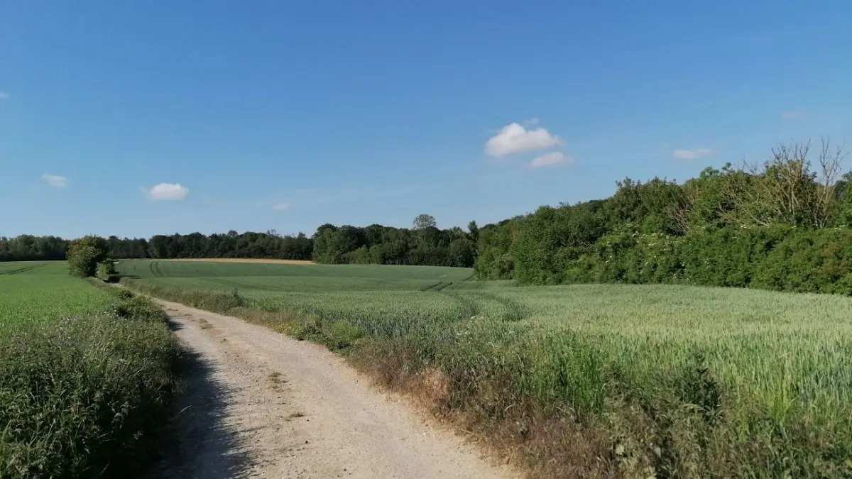 Le Mont de Géant - Wavrans sur l'Aa
