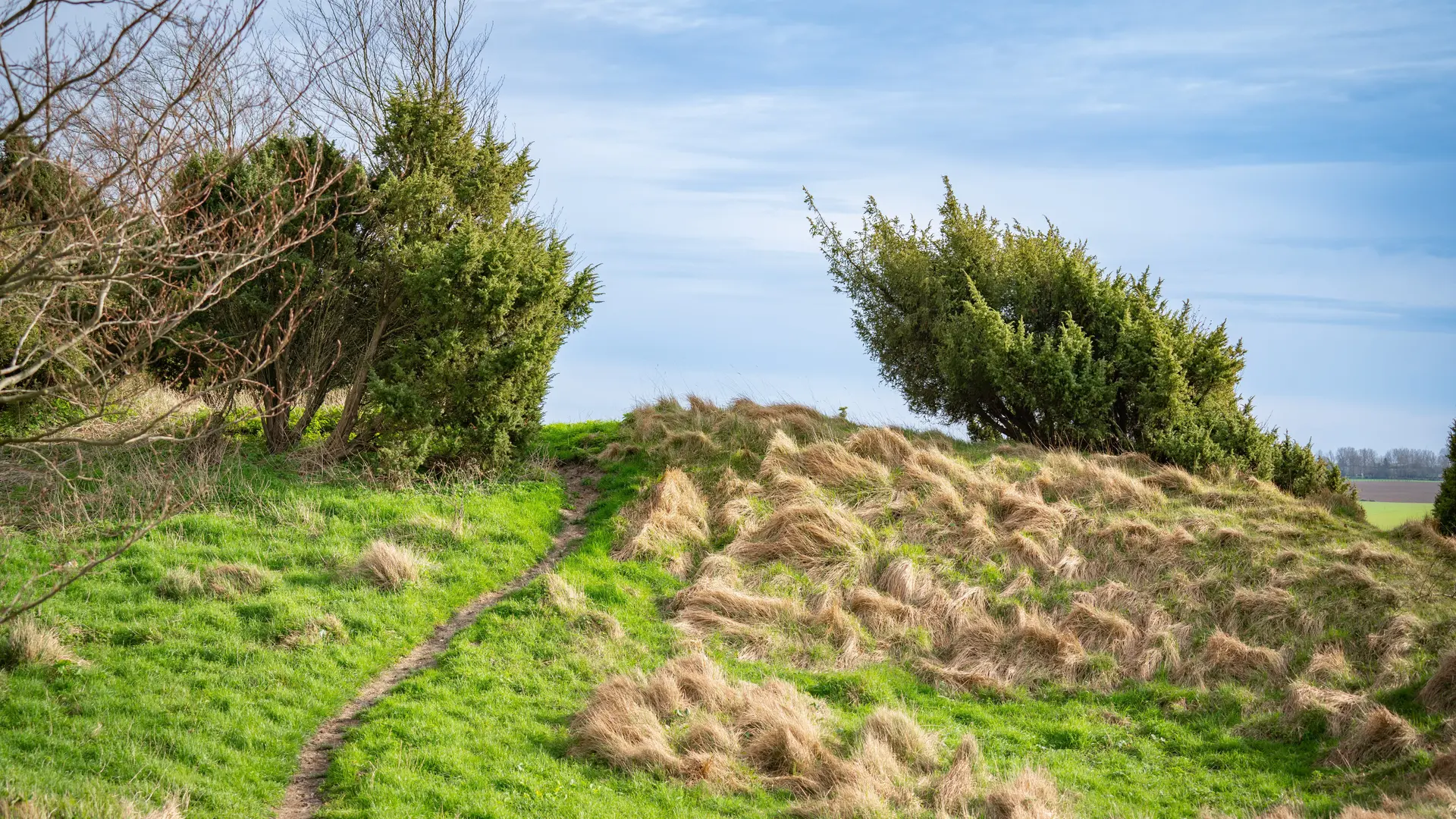 Coteaux de l'Aa - Sentier des Genévriers