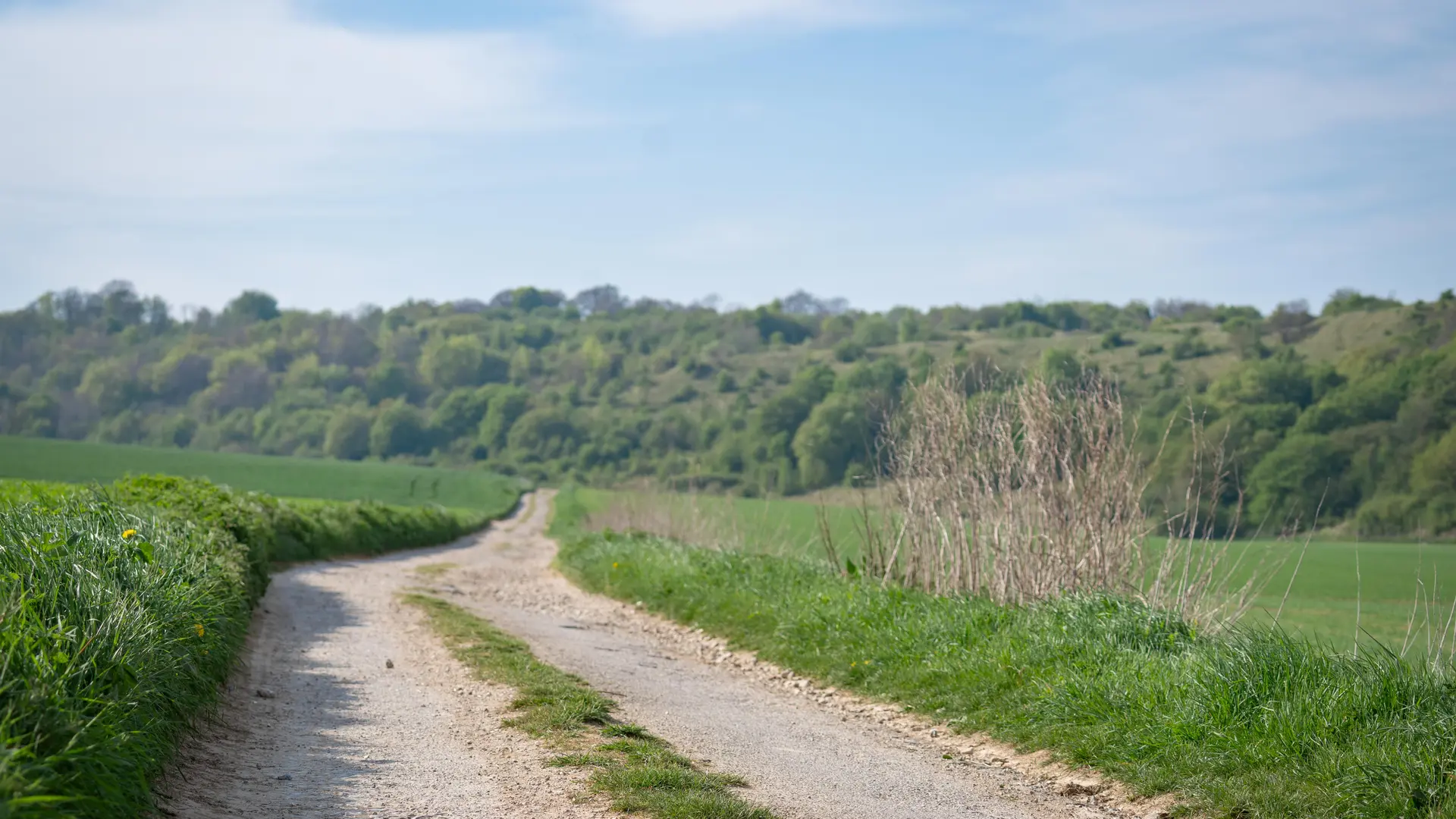 Chapelle Saint-Louis de Guémy - Tournehem-sur-la-Hem