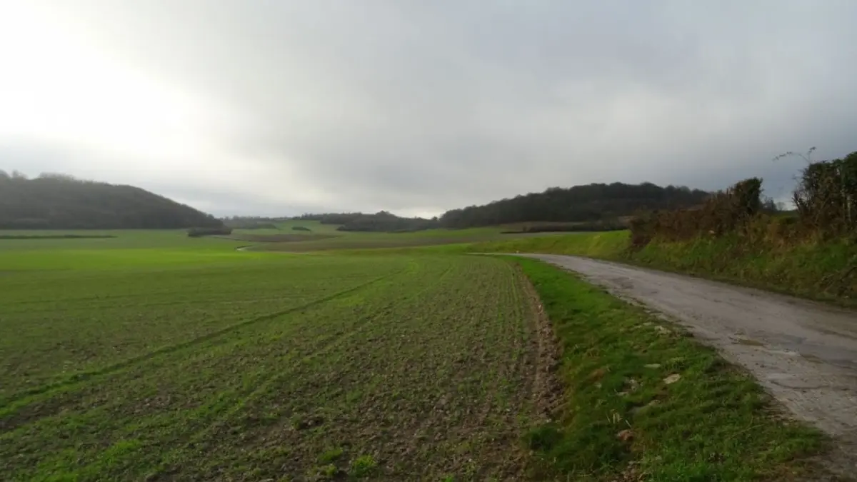 Le Mont Vert à Alquines