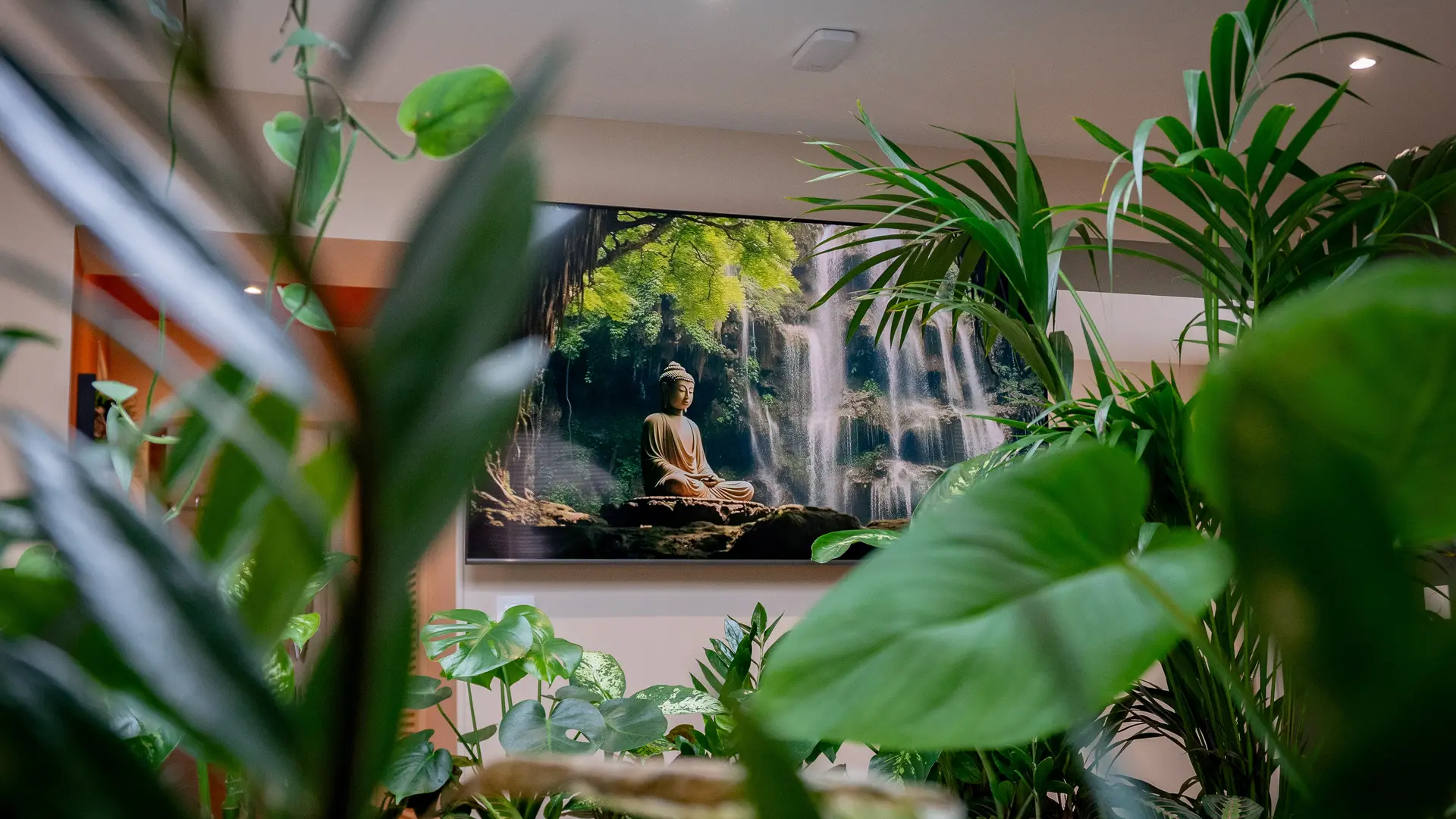 SPA PRIVATIF  TRINIDAD VIBES