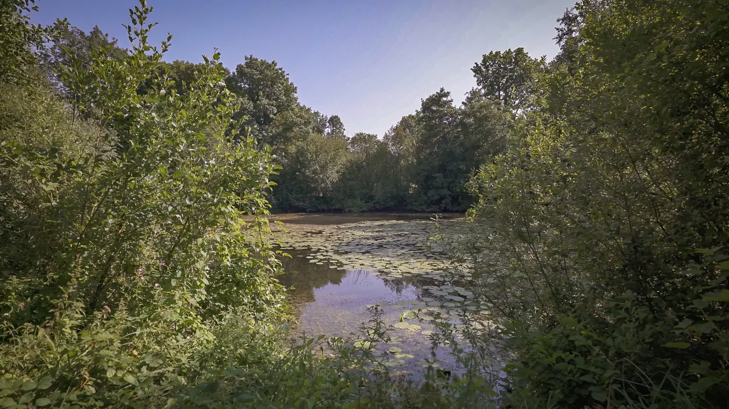 Parc de la poudrerie d'Esquerdes