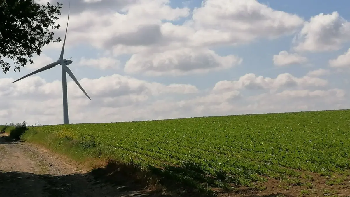 Le Mont de Géant - Wavrans sur l'Aa
