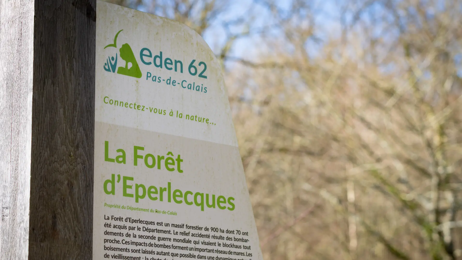 Forêt d'Éperlecques 2024