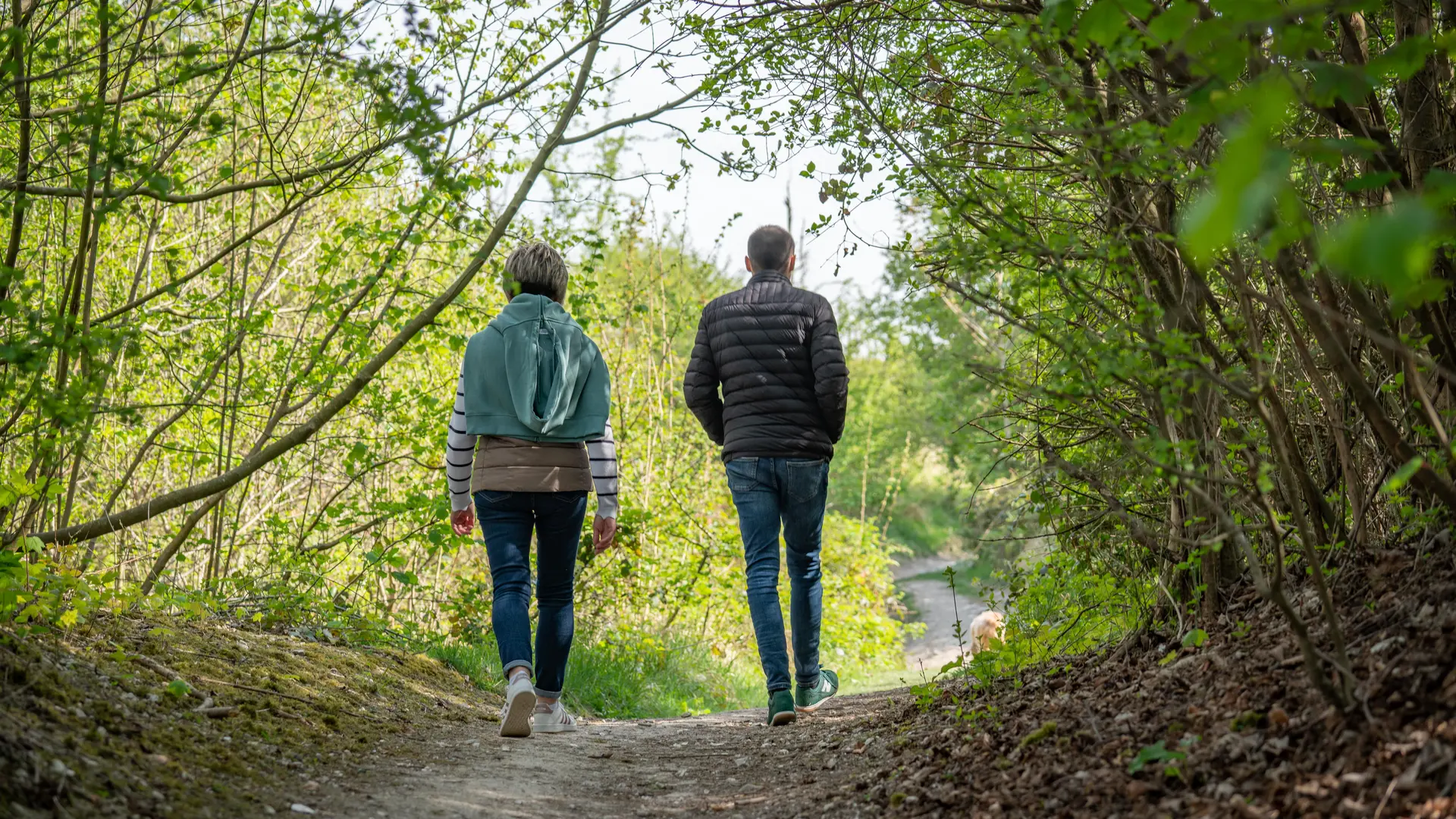 Sentier de Randonnée