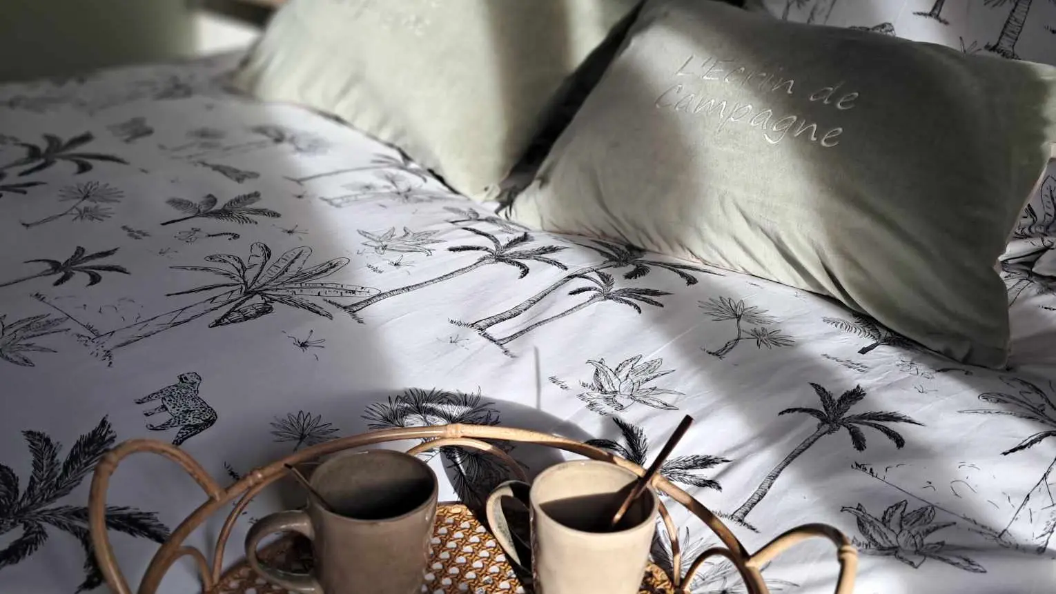 481004093_1353998278964550_5876548940829156314_n