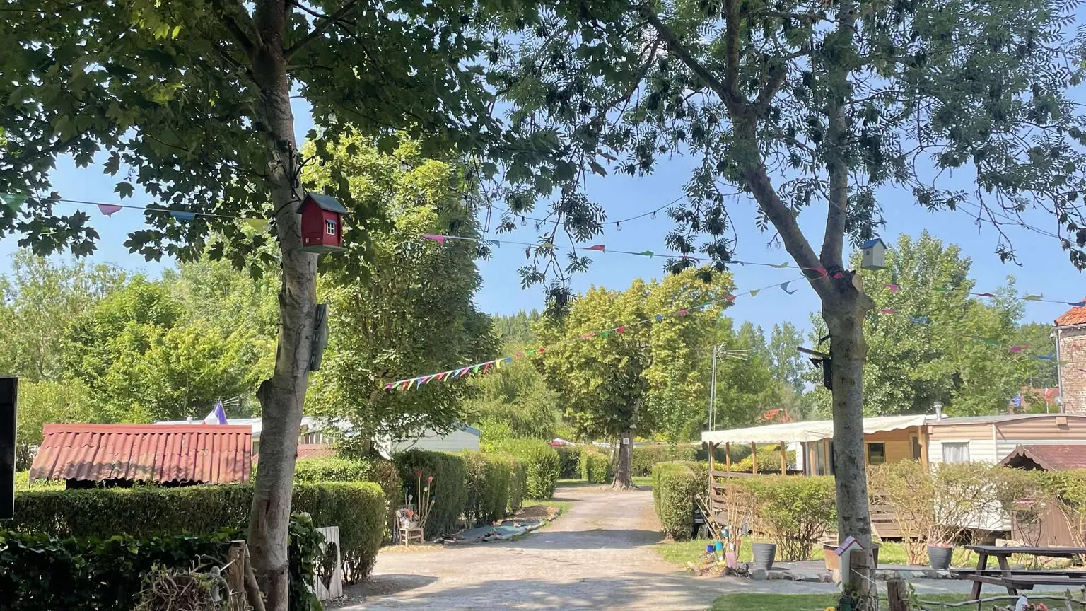 528234769_1068646261715364_8459320542531705029_n