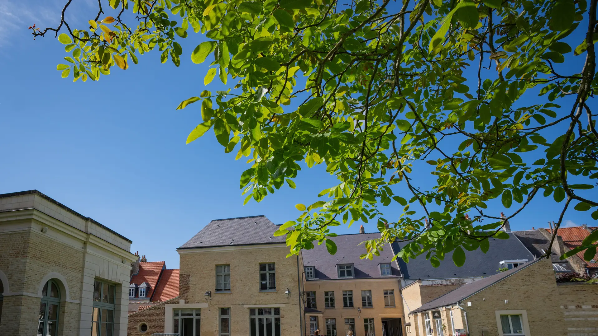 Jardin de l'Office de Tourisme de Saint-Omer