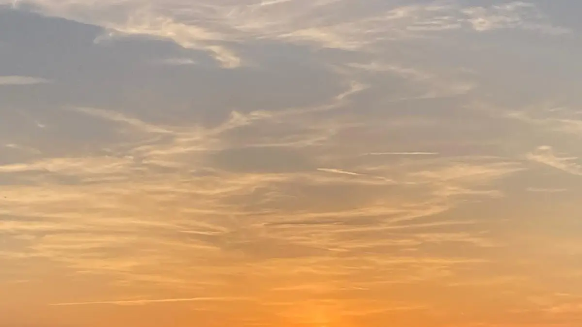 Vue depuis la terrasse