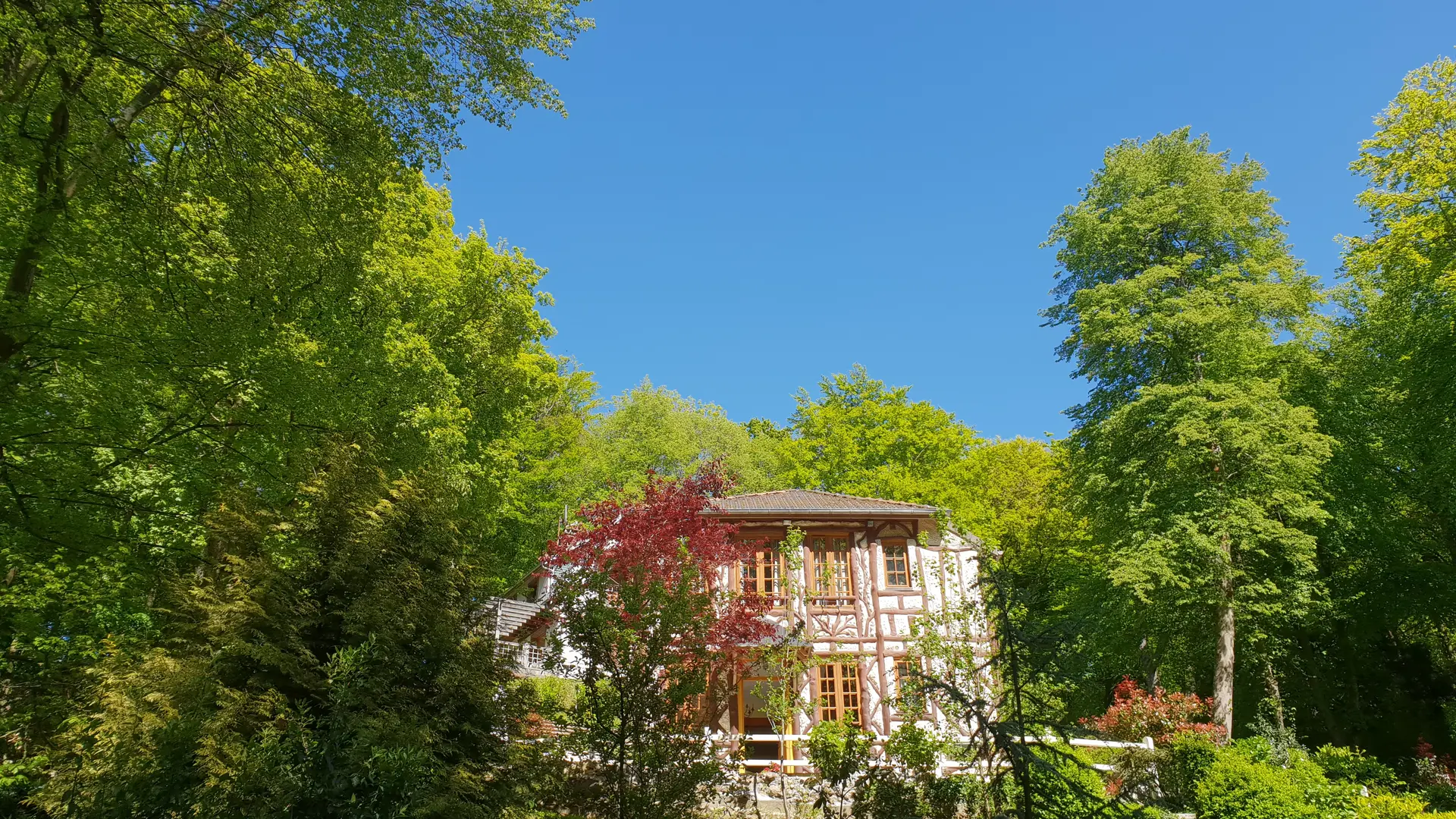 20190514_161249