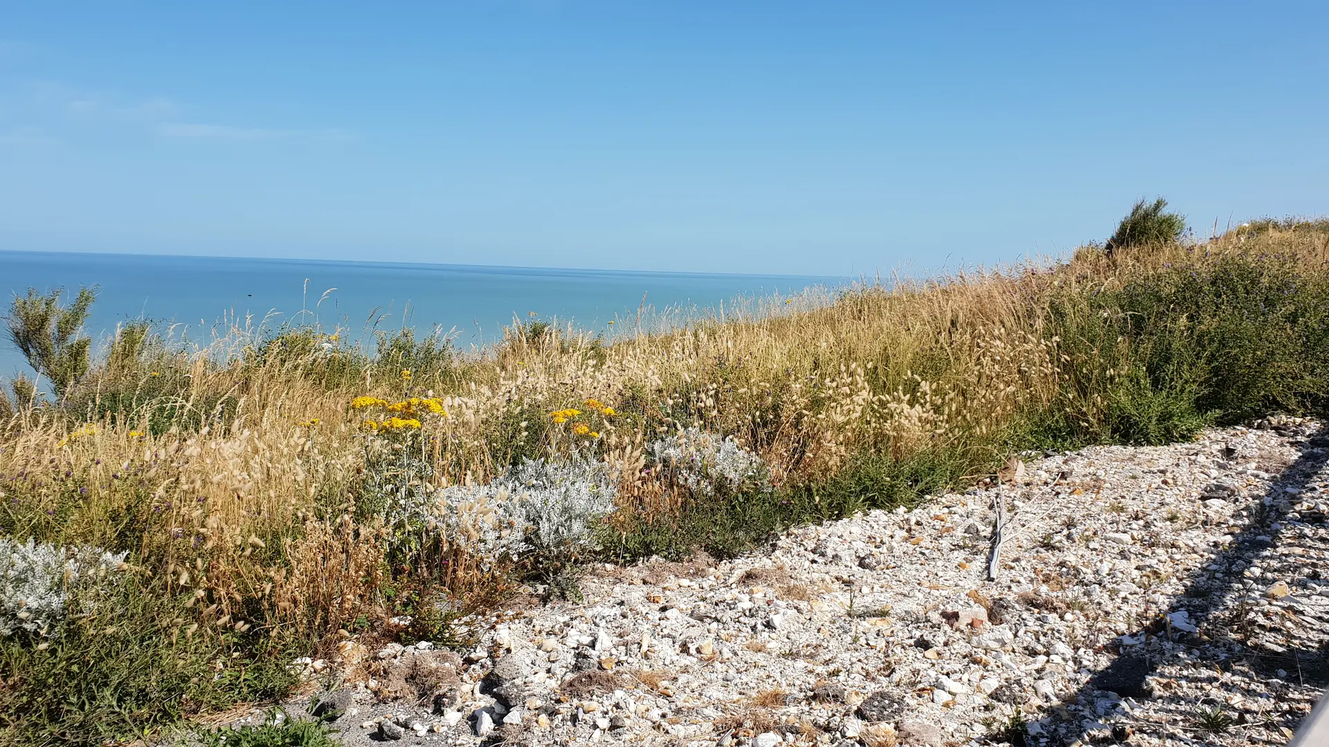 Ault - Falaises et plage 04