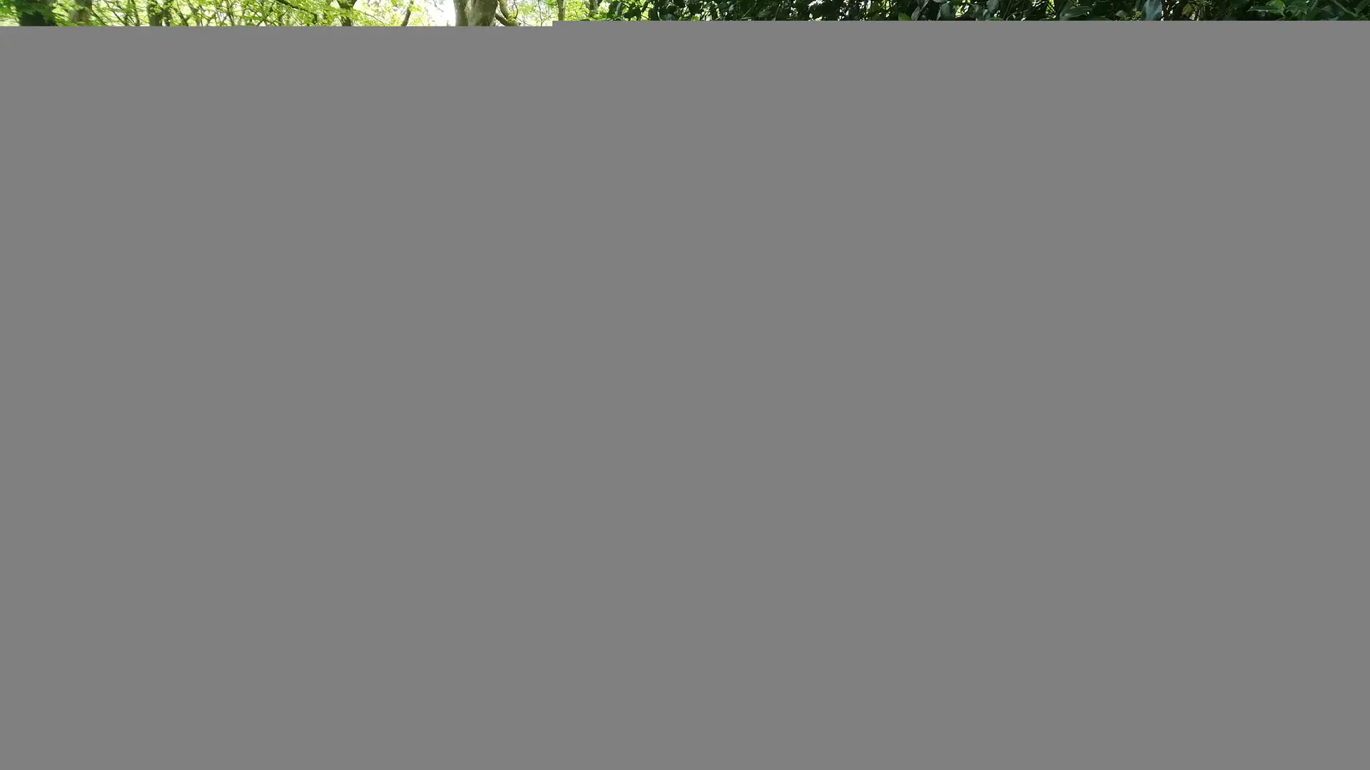 Bois de Cise (2)