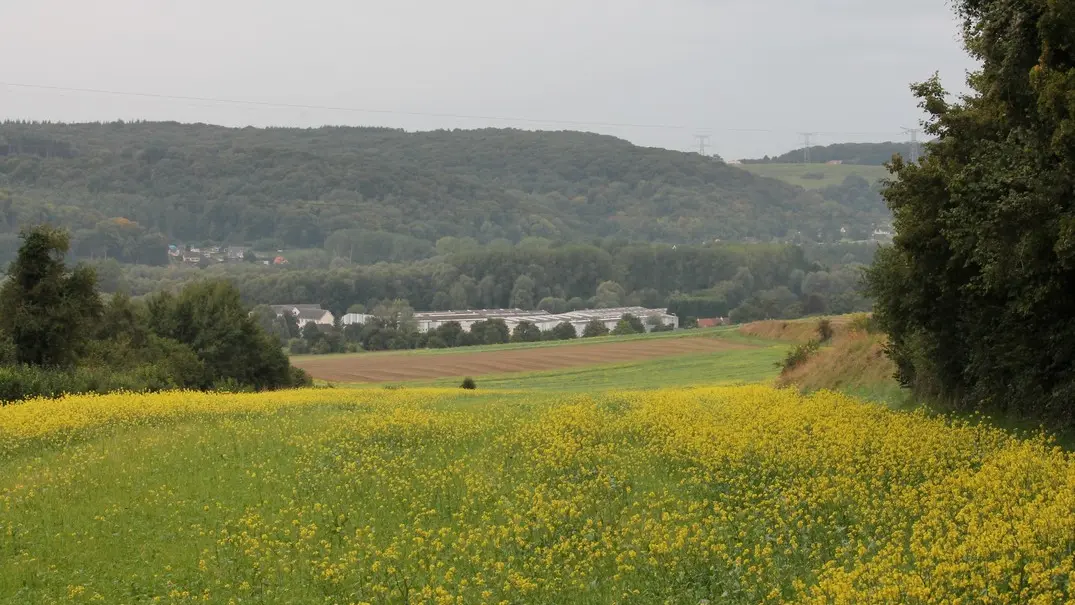 Bouvaincourt_vue-vallee_circuit-isle©ADRT80-DR