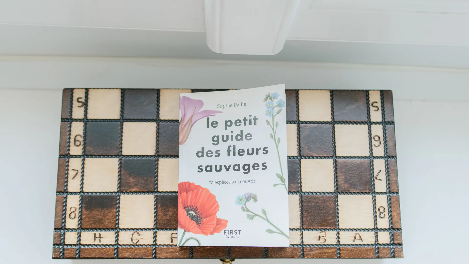 Détails de décoration