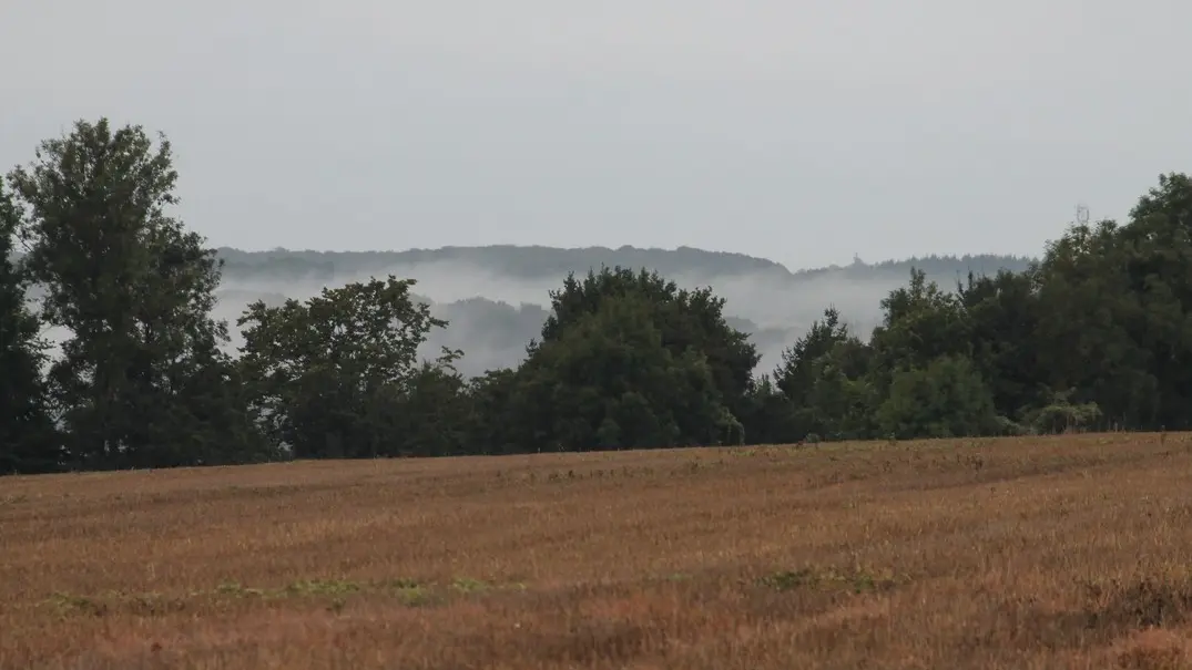 Dargnies_brume-vallee©ADRT800-DM
