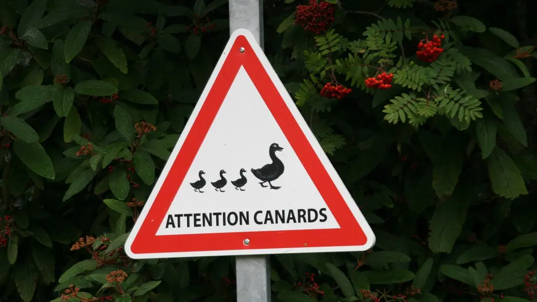 Dargnies_panneau-canards©ADRT80-DR