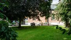 BUIGNY-LES-GAMACHES Les pigeons