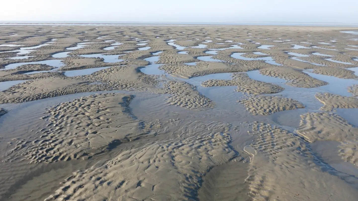 WOIGNARUE Les Marevas