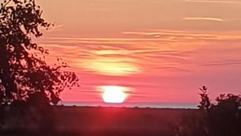 FRIAUCOURT Carpe Diem