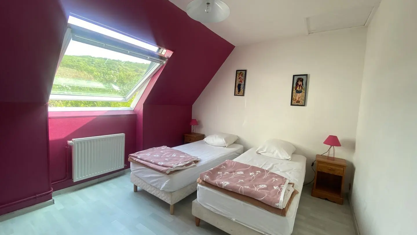 MERS-LES-BAINS Les goelands