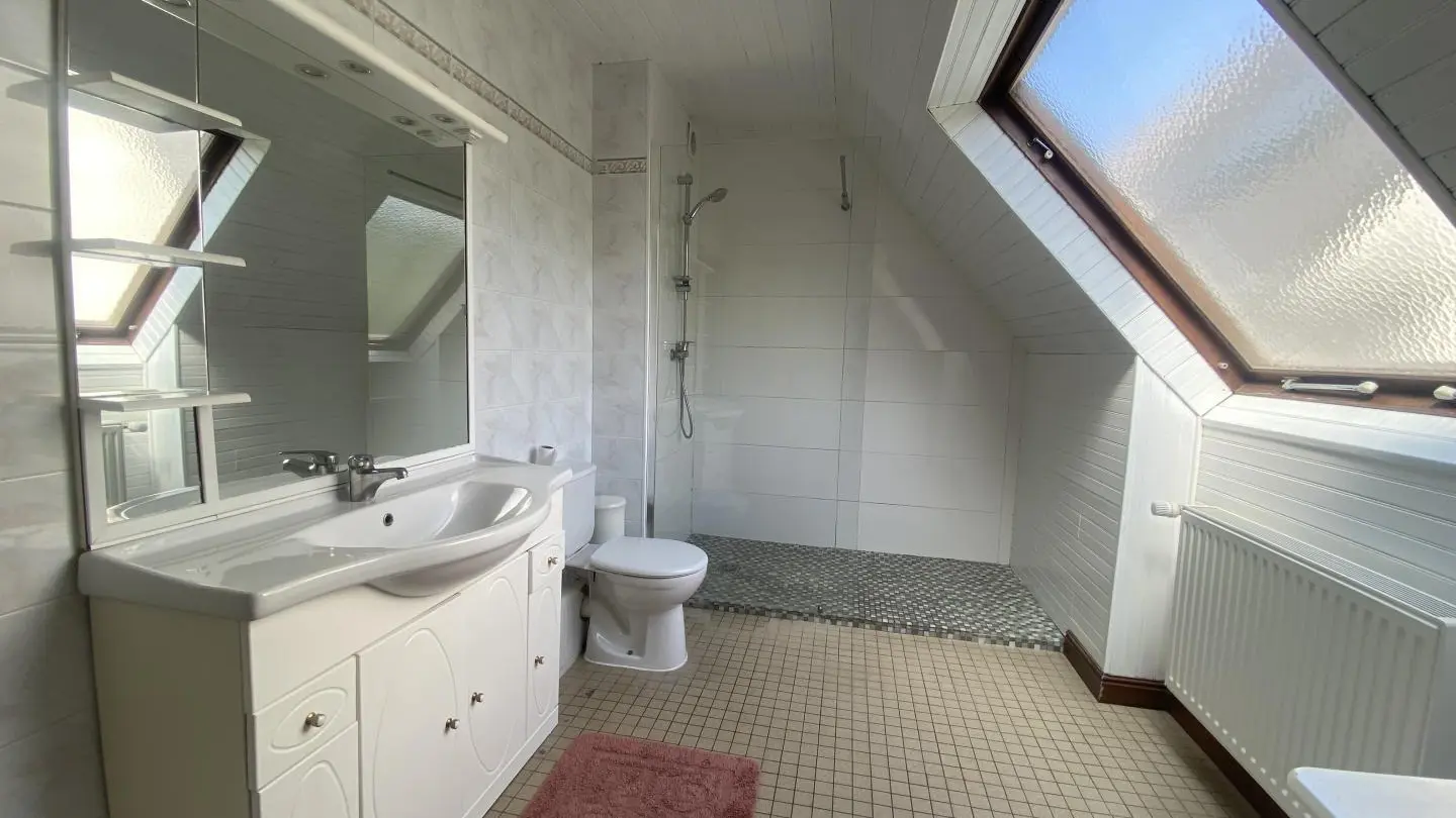 MERS-LES-BAINS Les goelands