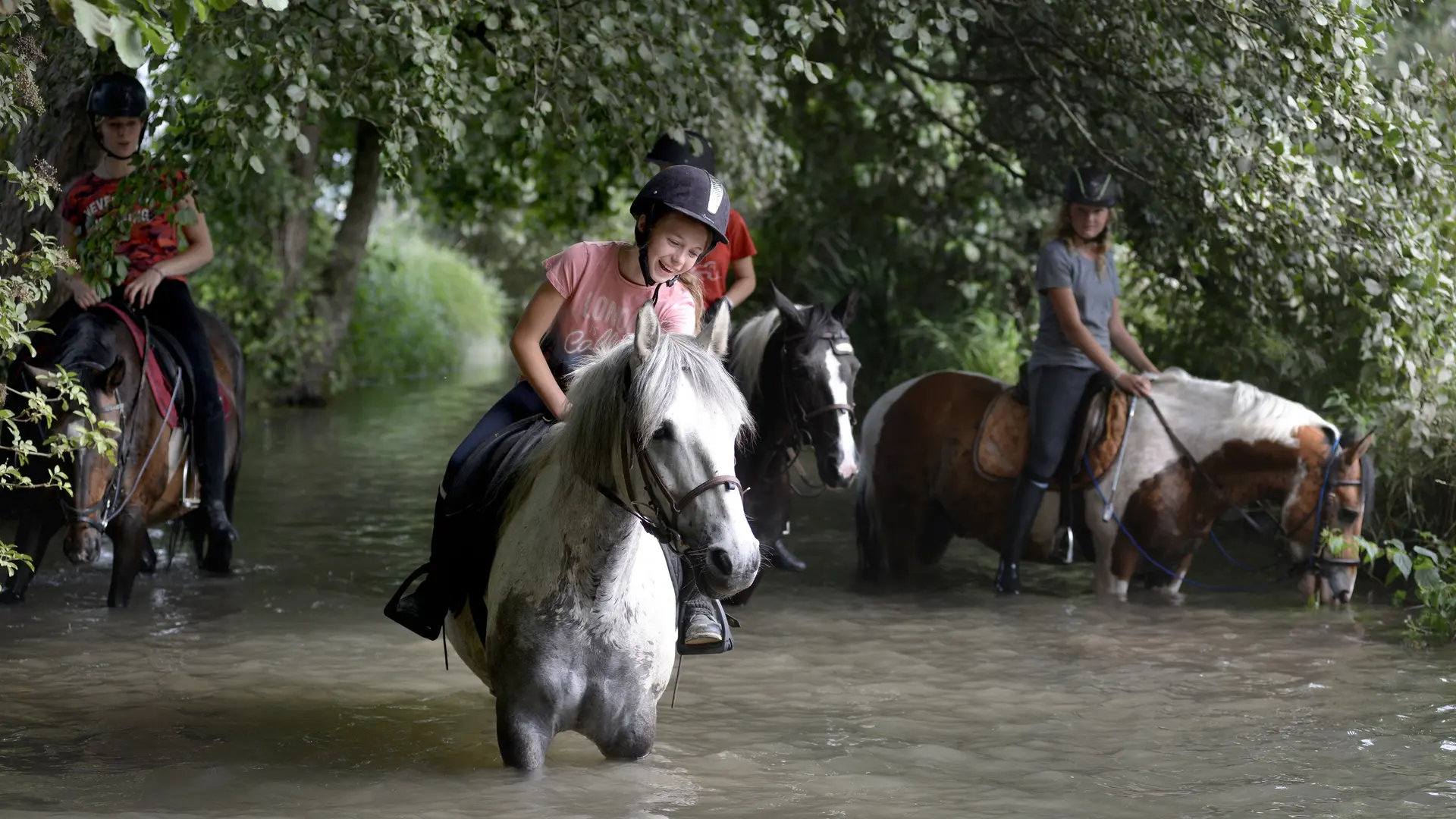 © Baignade poneys