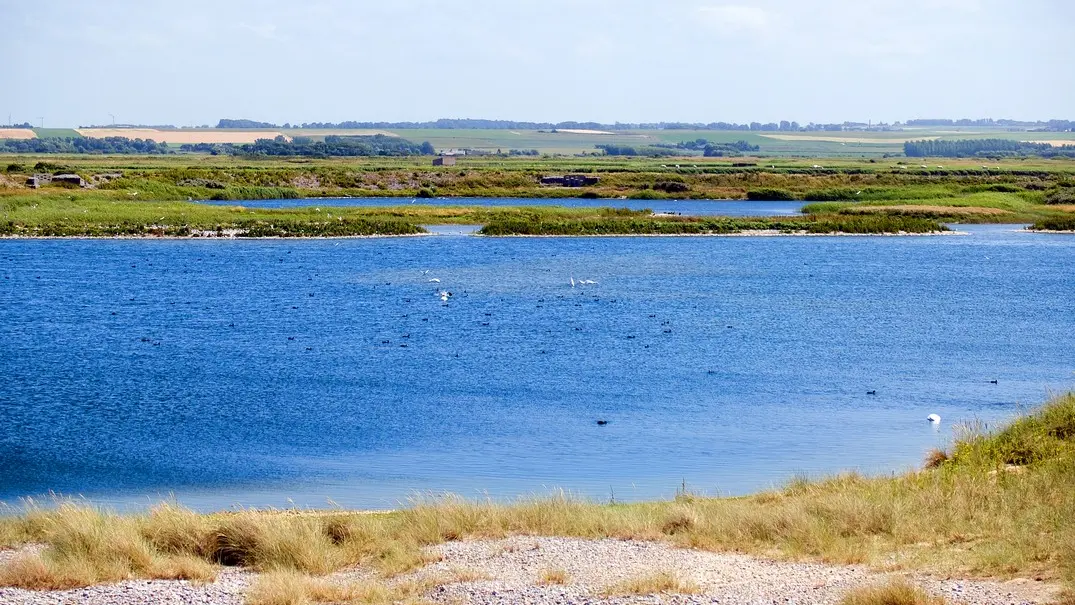 HÂBLE D'AULT ET SA RÉSERVE ORNITHOLOGIQUE