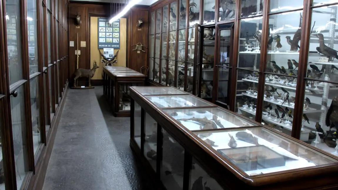 Museum d'Histoire Naturelle de Chambéry