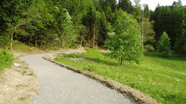 Sentier des Arbres à Sons