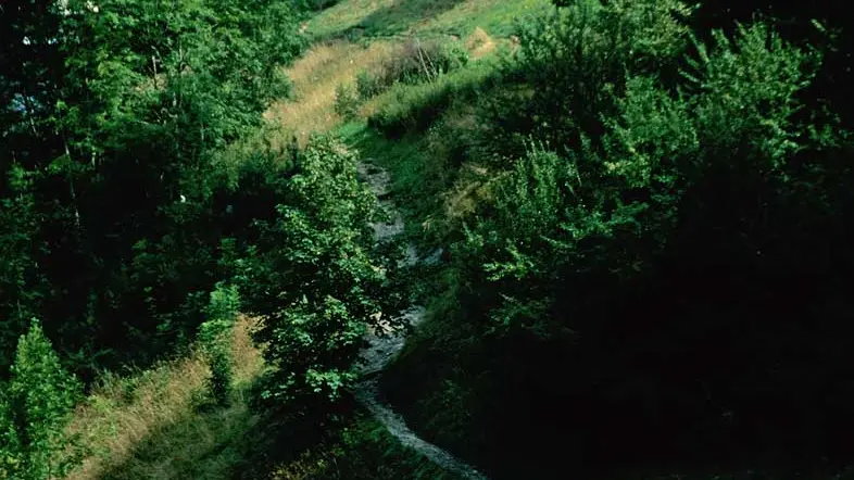 VTT à Montriond