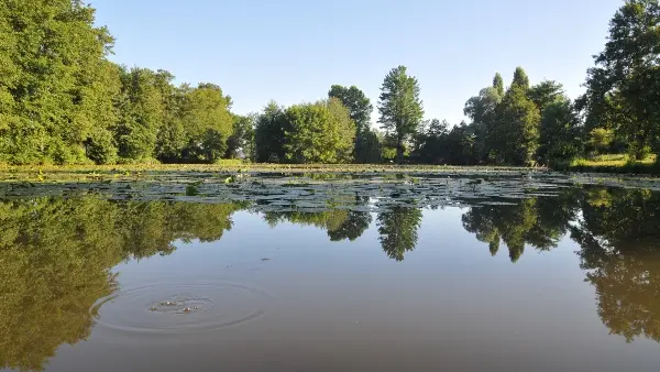 Plan d'eau Dompierre_Crédit C.Thieux (3)