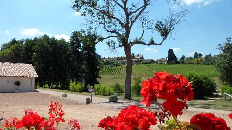 Domaine des Palais