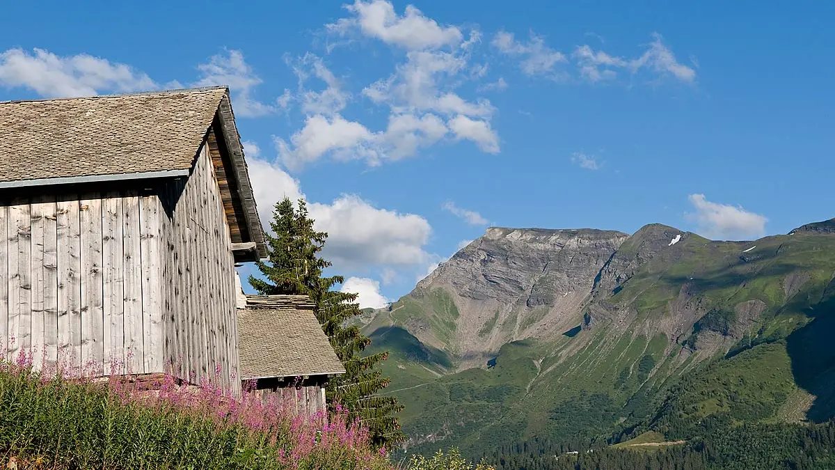 Vue sur les Hauts-Forts