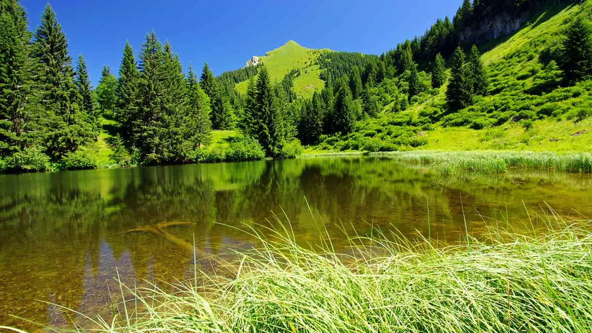 Le lac de Damoz des Moulins au printemps