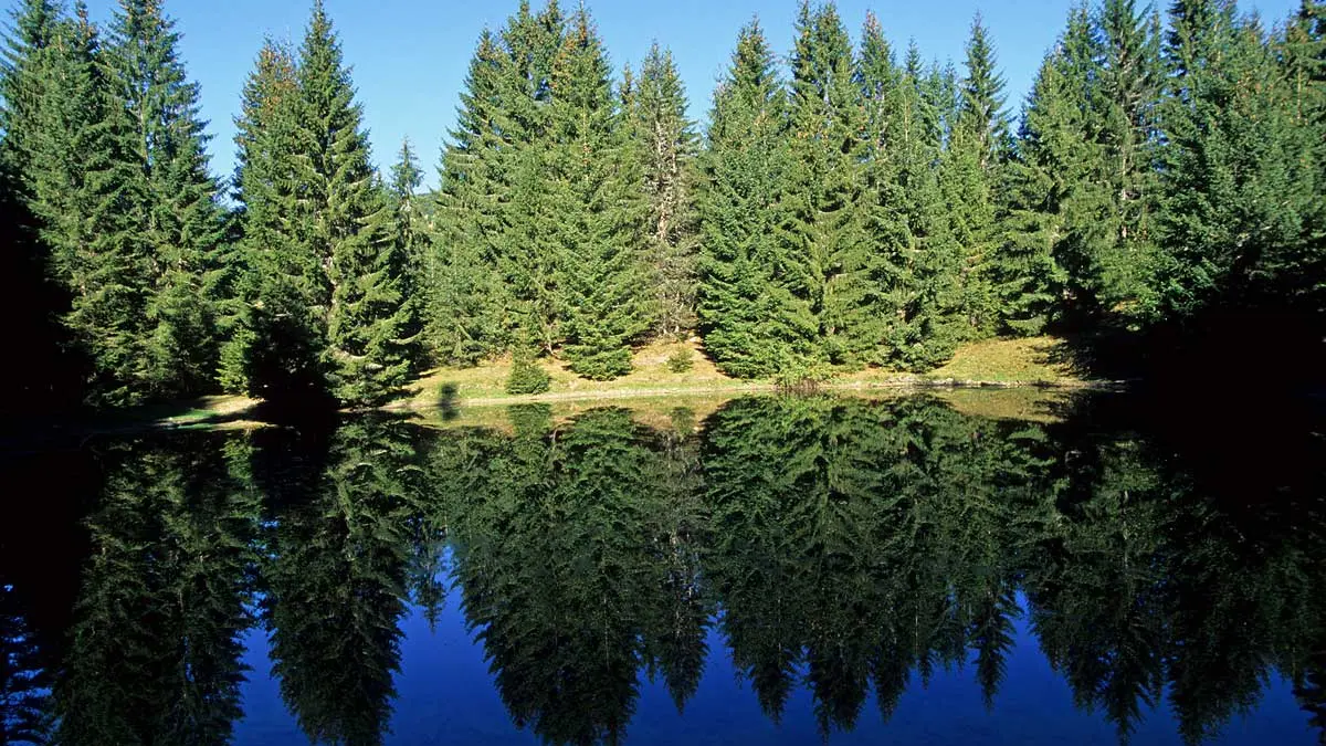 Lac du Fouyet
