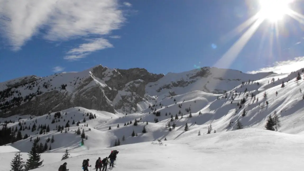 Raquettes à neige au Vallon