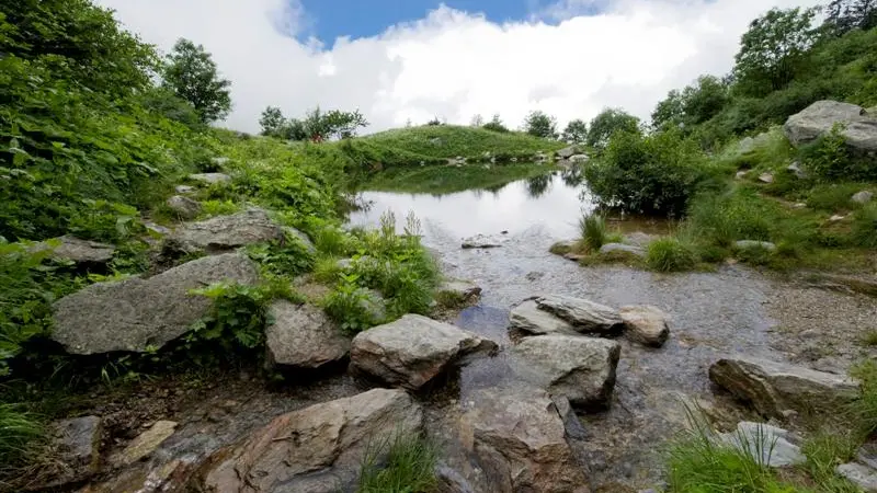 Lac
